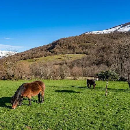 Valle De Bueida El Palacio Gospodarstwo wiejskie *