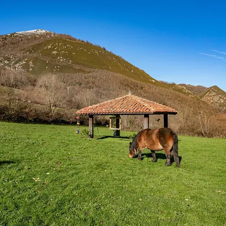Valle De Bueida El Palacio Gospodarstwo wiejskie